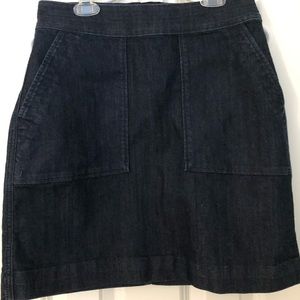 New Denim Skirt (Loft)